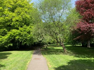Pearse Meadow